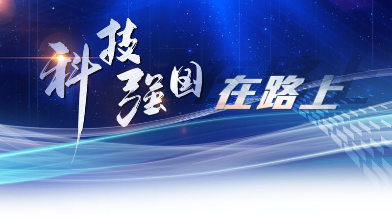 选择标准：在选择网络安全产品代理加盟合作伙伴时，以下标准值得关注：